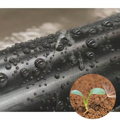 China Agriculture Irrigation Factory Price Free Sample Water Saving Sprinkler Hose For Micro Sprinkler System for sale