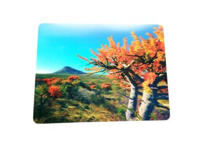 China Eco - Friendly Custom Lenticular Printing 3D PP / PVC Table Mat for sale