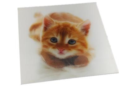 China Cat Design Disney Audit 3D Lenticular Stickers CMYK Printing for sale