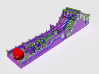 Китай Взрослый надувный сад препятствий Игровая площадка Фиолетовый Зеленый Красный продается