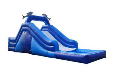 中国 Vibrant And Colorful Inflatable Slide For Children Exciting Sliding Experience 販売のため