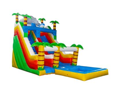 China Aldult  Outdoor Rental Inflatable Large Water Slides With Bouncy for sale