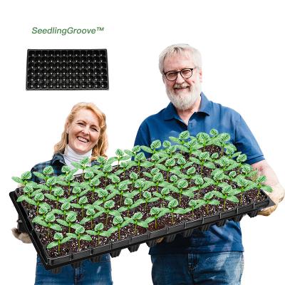 China 2022 Seed Seedling Groove 32 50 72 105 128 200 Cell Vegetable PET Seed Plant Germination Tray Garden Seedling Trays for sale