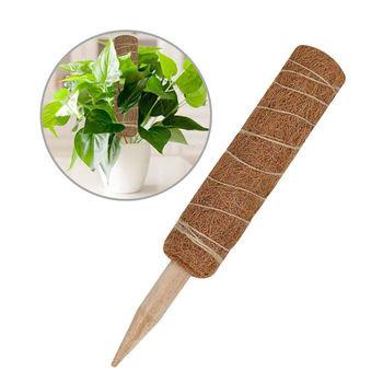 China Minimalist Moss Pole Indoor Plants For Home Gardens Coir Moss Pole for sale