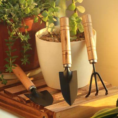 China Mini Gardening Digging Tool Kit For Kids And Outdoor Eco - Friendly for sale