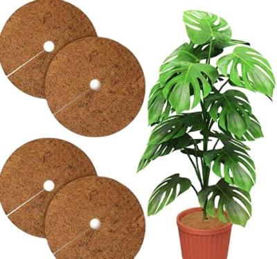 China Garden Tour Cocos Hot Liner 10 Inch Coconut Fiber Liner Cocos Pot for sale