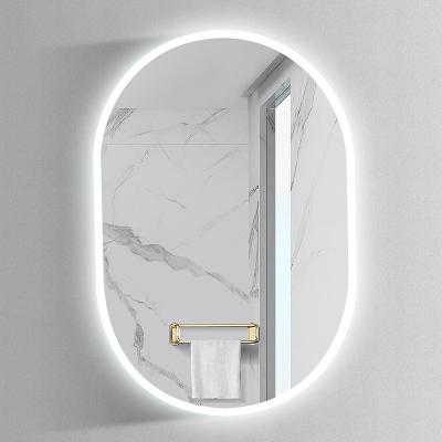 China Hotel Pill Shape Illuminated Modern Wholesale Home Bathroom Mirror With LED Light for sale