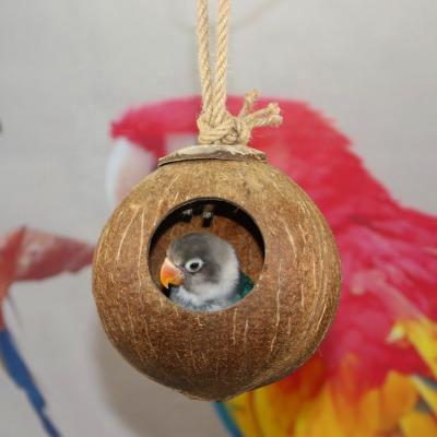 China Viable Wholesale Cheap Creative Mini Coconut Shell Eco-friendly Parrot Cage Bird House for sale