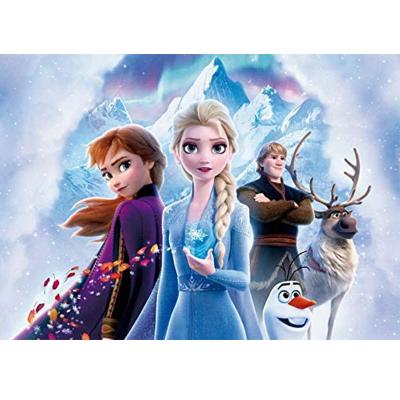 China Frozen birthday party girl's birthday party backdrop photography backdrop vinyl wall decoration supplies, suitable for kids boys for sale