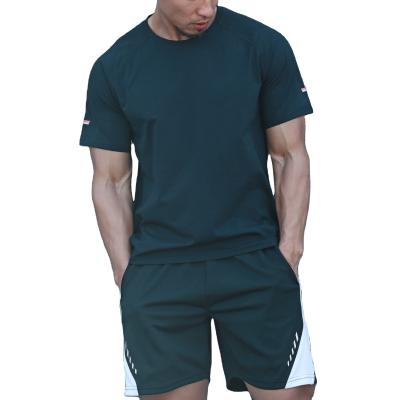 China Hot Sale OEM Anti-Wrinkle Men Sweatshirt Gym Workout Short Sleeve T-shirt Custom Logo Quick Dry Light Weight Shirt for sale