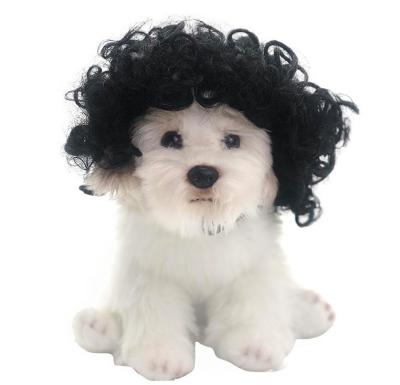 China Sustainable Funny Creative wig  Cute Pet Costume Wig Hat For Cat Dog Halloween Christmas Clothes Fancy Dress With  Pet Clothes for sale