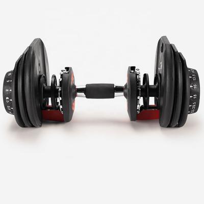 China Morden 25 Kg 50 Kg Weight Gym Equipment Dumbbell Fitness Equipment Weight Dumbbells for sale