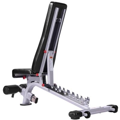 China Hot Sale Morden Fitness Equipment Durable Adjustable Bench With Dumbbells for sale