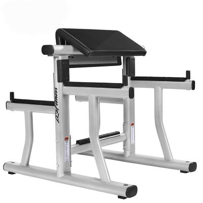 China Cheap Morden High Quality Home Gym Exerciser Fitness Biceps Frame for sale