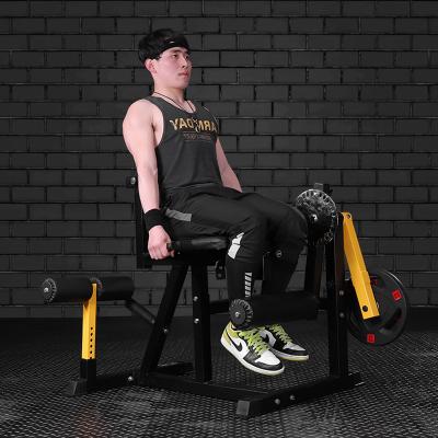 China Morden Factory Wholesale Professional Muscle Training Cheap Multifunctional Leg Extension Fitness Equipment for sale