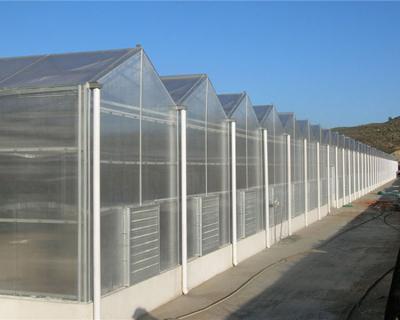 China Modern Appearance One Multi Span PC Sheet Greenhouse Use For Hydroponics System for sale