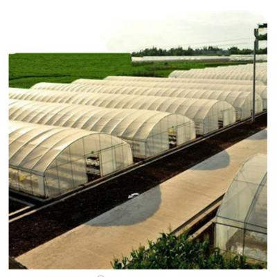 China Easily Assembled And Economical High Agricultural Tunnel Greenhouse For Fruits In Ghana / Afraic /South America / Asia for sale