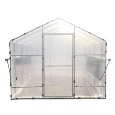 China Small Vegetable Garden Greenhouse Poly Skyplant Flower Fruit Tunnel Greenhouse For Sale for sale