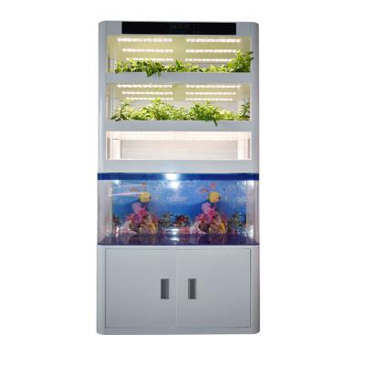 China Easy Growing Acquponic Culture Hydraulic Agriculture Indoor Complete Hydroponic System for sale