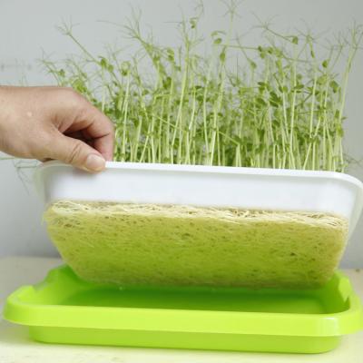 China ONEONE Farms Hydroponic Seedling Microgreens Starter Grow Tray On Sale for sale