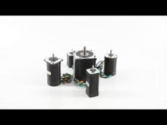 bldc motor