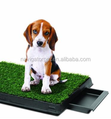 China Viable Dog Grass Protection 2021 for sale