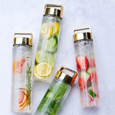 China Sustainable Detox 24oz Reusable Water Bottle Fruit Infuser Water Bottle Glass Water Bottle With Fruit Tea Infuser for sale