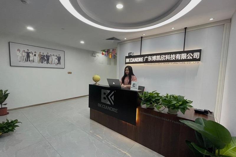 Verified China supplier - Guangdong BKX Smart Furniture Co., Ltd.