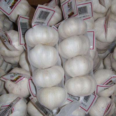 China 5cm fresh pure white garlic fresh 5.5cm pure white garlic for sale