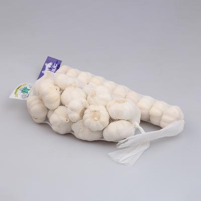 China Fresh Chinese Pure White Garlic Price Shandong White Garlic for sale