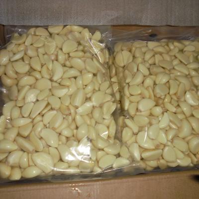 China High Quality Fresh China Peeled Fresh Frozen Garlic Cloves for sale