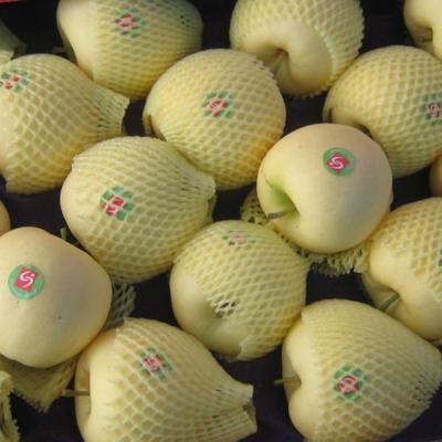 China CHINA SUPPLIER FRESH APPLE GOLDEN DELICIOUS FOR SALE for sale