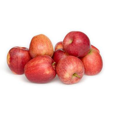 China Fresh new crop gala fresh apple with China supplier for sale