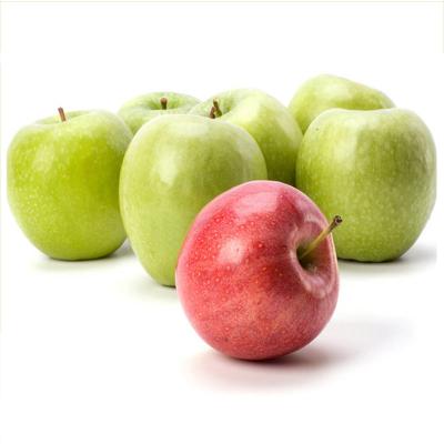 China Cheap price of fresh chinese fresh green apple for sale