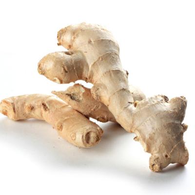 China Fresh Chinese Ripe Importer of Fresh Vegetables Air Dried Ginger for sale