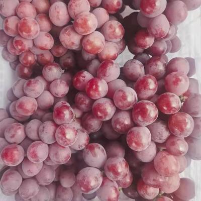 China Fresh seeded crimson grape fresh fruit grape for sale for sale