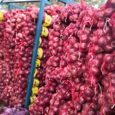 China Wholesale quality fresh cheap best price fresh red onion for sale