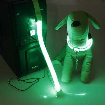 China Best viable selling usb rechargeable led dog leashes and flashing light up pet collars packaged together for sale