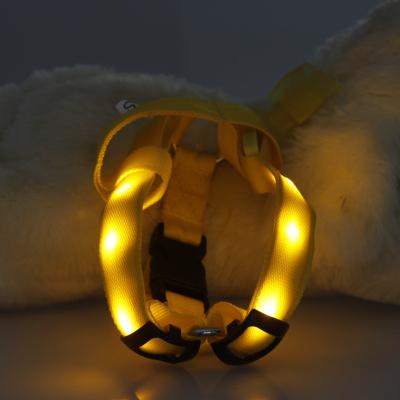 China Viable Pet Accessories Led Dog Harness Vest Glowing Flashing Set for sale