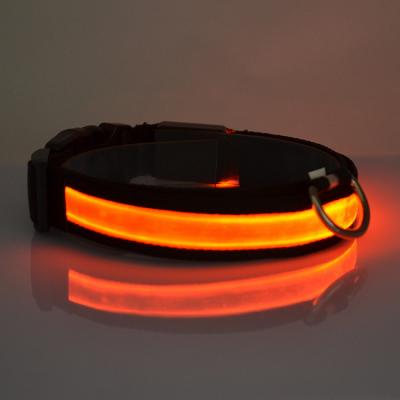 China Viable Pet Accessories USB Rechargeable Led Dog Collar With Led Lights for sale