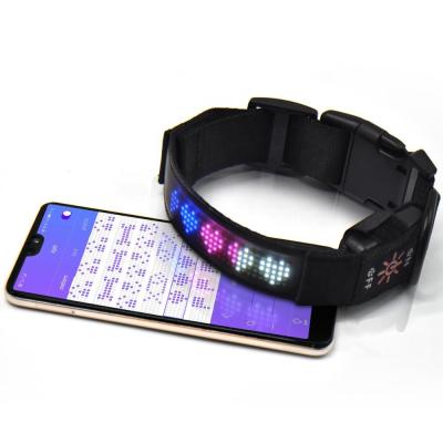 China New APP USB LED Viable Wireless Waterproof Flashing Collar With BT Function for sale