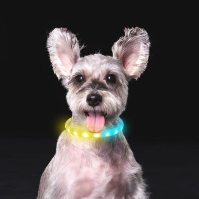 China New Design Silicone Lights Lighting Pet Accessories Waterproof USB Led Flashing Dog Collar for sale