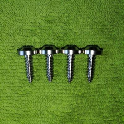 China Saucer Head Titanium M4x17 Gr.5 Ti6Al4V Casing Self Tapping Screw T20 TORX In Stock Ready To Ship for sale