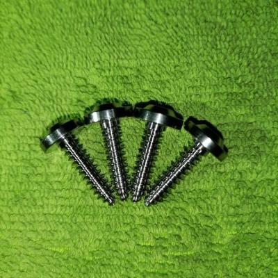 China Titanium M5x20 Fully Forged Ti6Al4V T25 TORX Grade 5 Titanium Saucer Head Tapping Screw In Stock Ready To Ship for sale