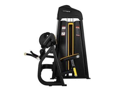 China Ausgewählte Biceps Curl & Triceps mit Hot Sale zu verkaufen