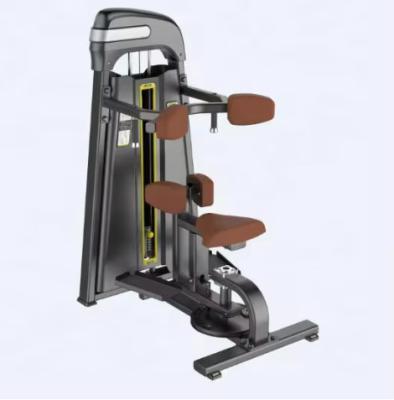 Cina Gym Rotary Torso Exercise Machine per allenamento ad allenamento toracico in vendita