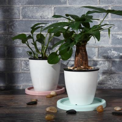 China 2019 American Style Fashionable Water Absorbent Round Diatomaceous Earth Potted Plant Saucer for sale