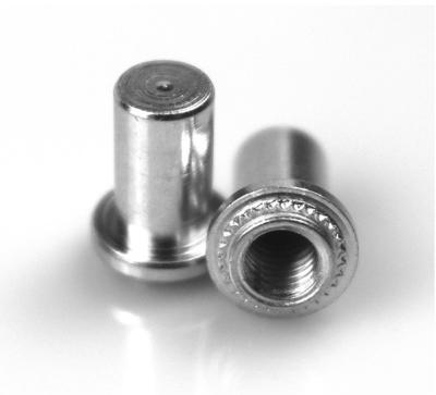 China Stainless Steel Carbon Steel Custom Hollow Clutch Knurled Rivets for sale