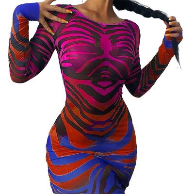 China 2022 New Anti-Static Sexy Women's Breathable Slim Fit Long Sleeve Mesh Dress Bandage Zebra Print Long Dresses Casual Club for sale