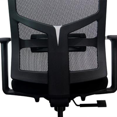 China 2022 New Mesh Adjustable Flexible Full Ergonomic Mesh Office Mesh Back Posture Chair (Height) for sale